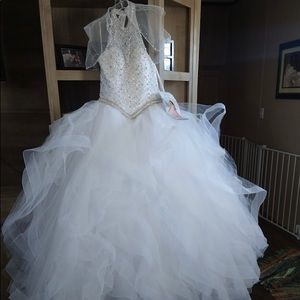 Quinceañera/Sweet Sixteenth Dress With Accessories